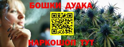 сатива Новокубанск